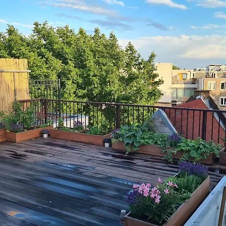 Groot Mooi 2 Etage Loft Met Dakterras In De Pijp. *